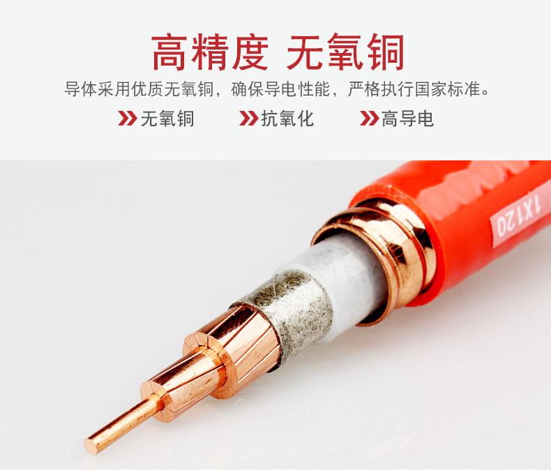 礦物質(zhì)電纜-BTTRZ_05.jpg