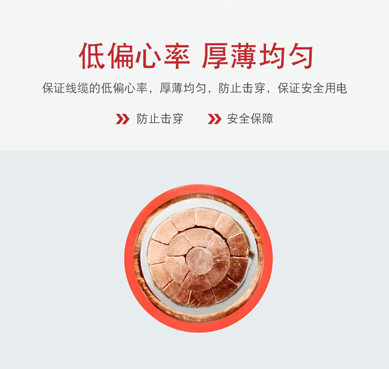 礦物質(zhì)電纜-BTTRZ_06.jpg
